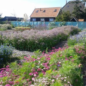 kantine en buitenkeuken vanuit pluktuin