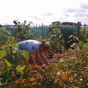 Bloemen plukken